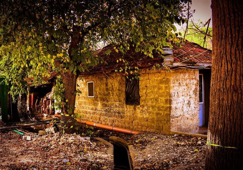 Farmhouse 🏡🏡 بيت المزرعة____________ (مزارع تعنايل)
