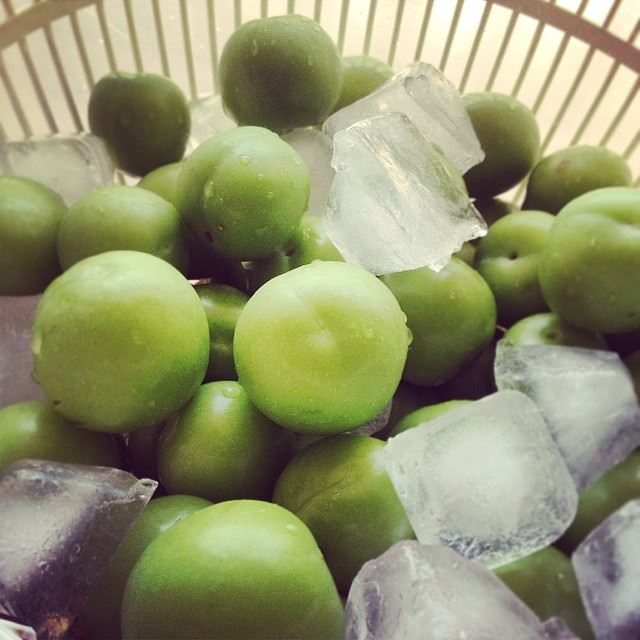  favorite  green  lebanese  sour  crunchy  salt  fruit  ice  eat  love ...