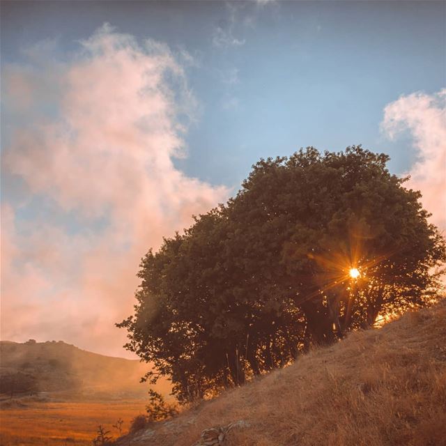 Favourite Colour🌅••• sun  beauty  photooftheday  skyporn  warm ... (Qanat Bakish, Mont-Liban, Lebanon)