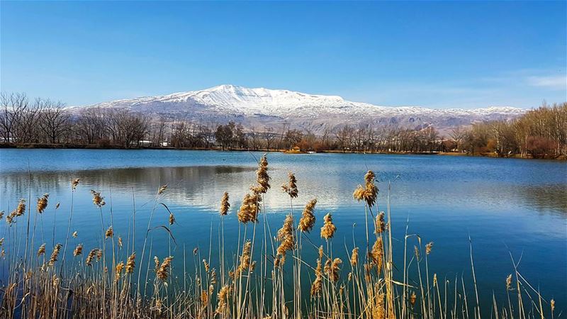 February visions  landscape  landscape_captures  landscapephotography ... (Taanayel Lake)