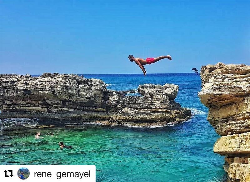 Feel free and just do it Repost @rene_gemayel (@get_repost)...