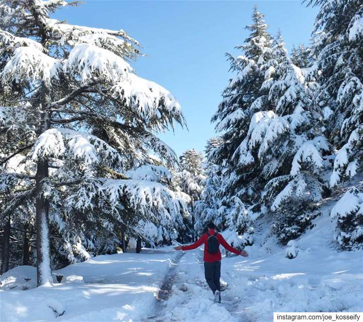 Feel The Breeze ❄️🌲🏠🏔️ (Hadath El Jebbeh - Bcharré)