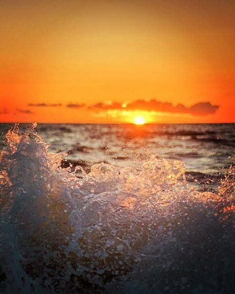 Feelings are much like waves,,, we can't stop them from coming,,, but  we... (Lebanon)