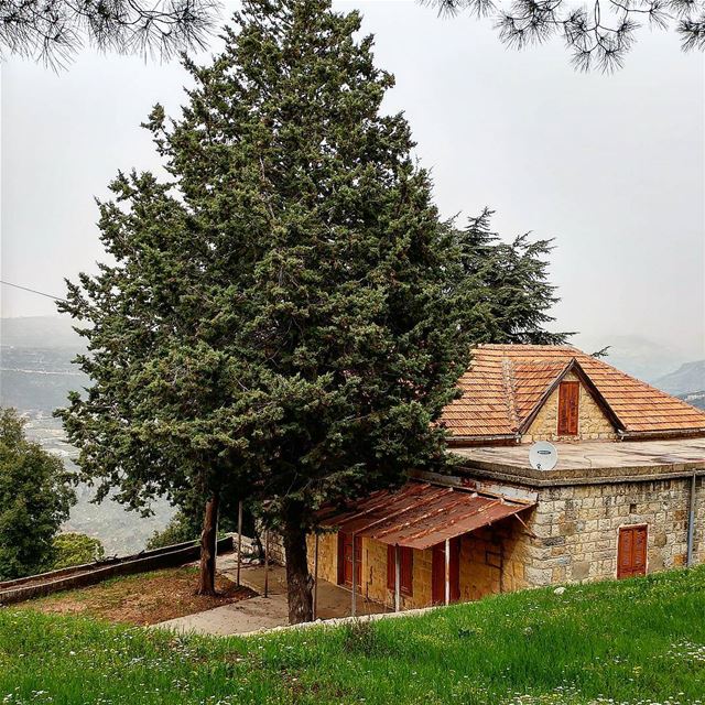 Fell for this house. With a sweeping view of the valley and the cliffs... (Majd El Meouch)