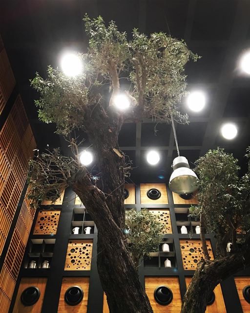 Feng Shui 🎎- morning beirut lebanon monday  instagram architecture art... (Beirut, Lebanon)