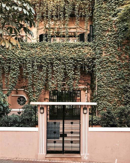 Few steps to wonderland 🗝🌿🌱✨🌈 Beirut بيروت nature...... vsco... (Beirut, Lebanon)