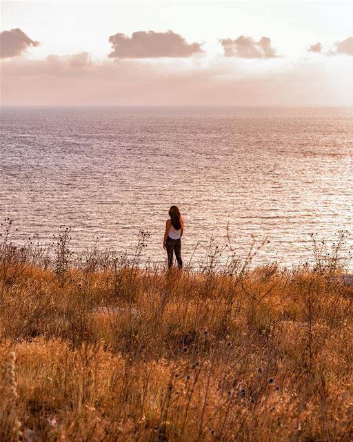 field of dreams 🌾📷 @highsamachkar..... girlswhotravel ...