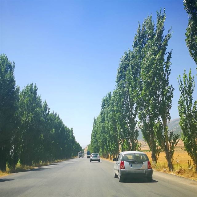  FieldVisit  RoadToMachghara  RoadtoSocialCohesion  Bekaa ... (West Bekaa)