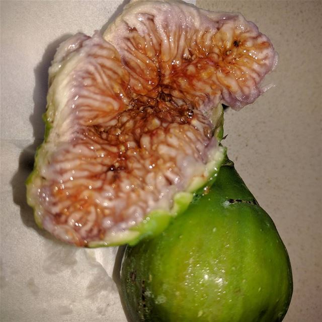  figs   figtree   fruit  fresh  garden  mygardentoday   mygardens  ...