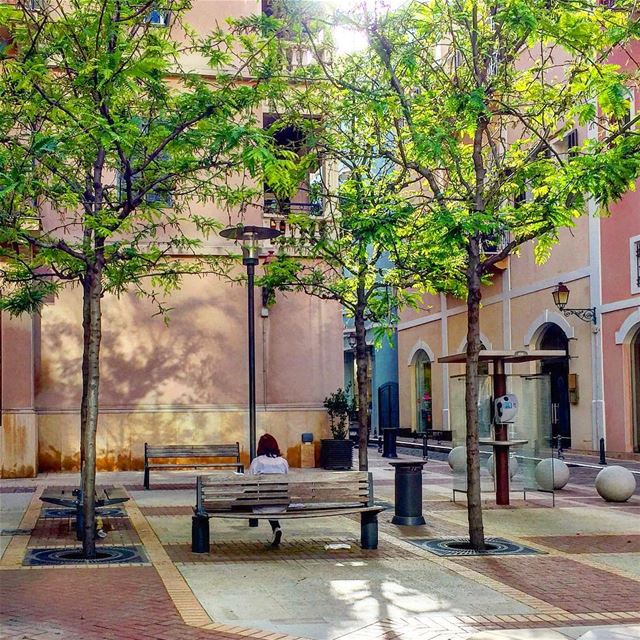 Fin de journée🌿 ::::::::::::::::::::::::::::::::: bancpublic  trees ... (El Saifi, Beyrouth, Lebanon)