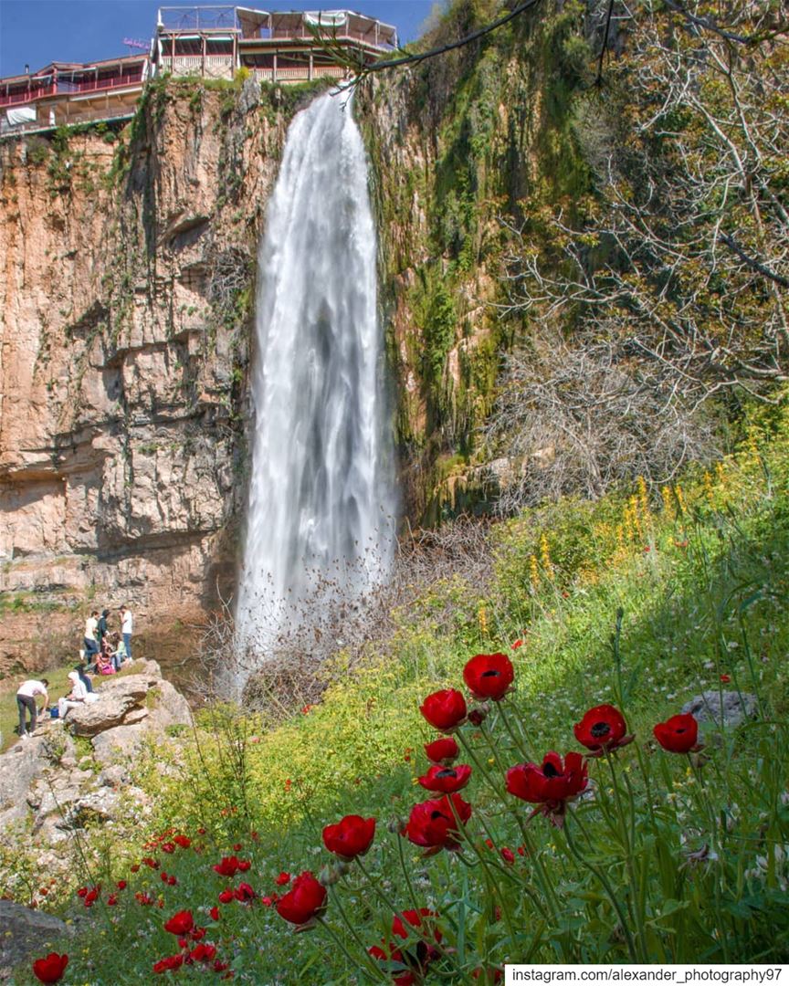 Finally, Spring is here 🌷⛰️ - The Waterfall of Jezzine and beautiful... (Jezzîne, Al Janub, Lebanon)