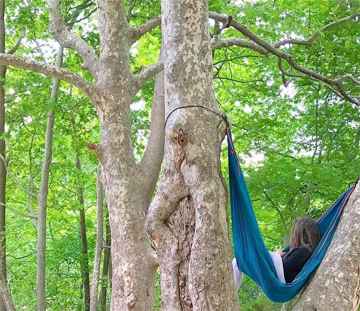 Find a  hammock to lay 🌿  Lebanon ... (Basloukit)