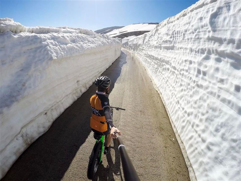 Find a way or Fade away! ❄️ 🚵🏻‍♀️ (Faraya, Mont-Liban, Lebanon)