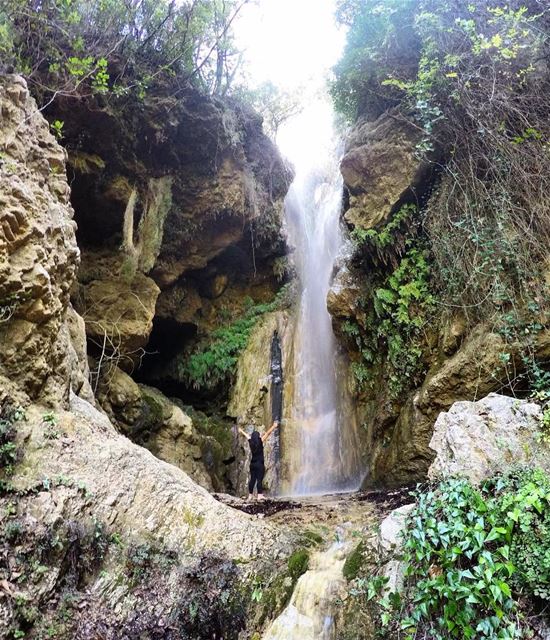 Find me where the  wild things are...  waterfall  hiking  outventuregirls ...