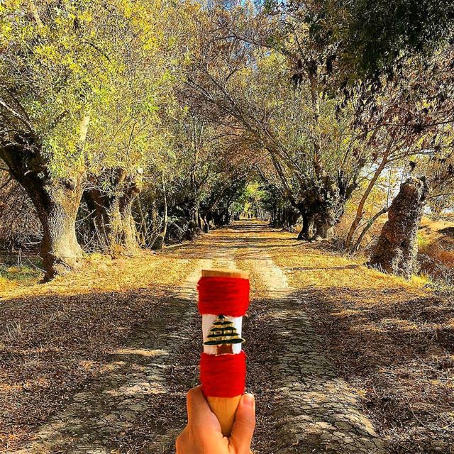 Find the color in your life and follow it... Credits @aline_grg ........ (`Ammiq, Béqaa, Lebanon)