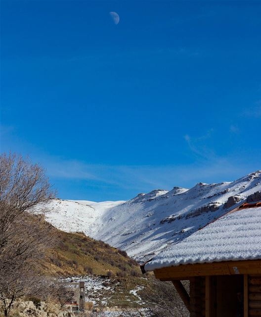 Find the moon 🎑 tannourine  snow  snow  livelovelebanon  ptk_lebanon ... (Arz Tannoûrîne)