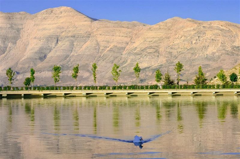 Find your Inner Peace..-📍The Lake, Zaarour Club, Mount Lebanon 🇱🇧-... (Zaarour Club)