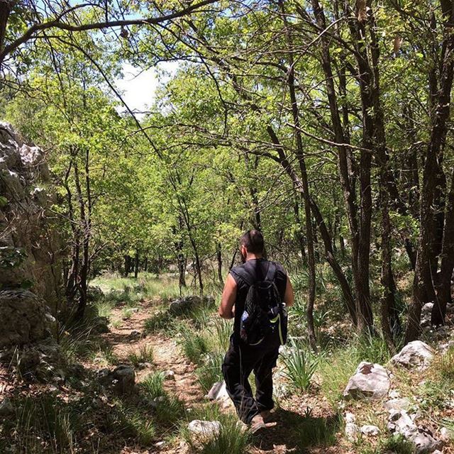 "Find yourself in nature and you'll never feel lost even in the thickest...