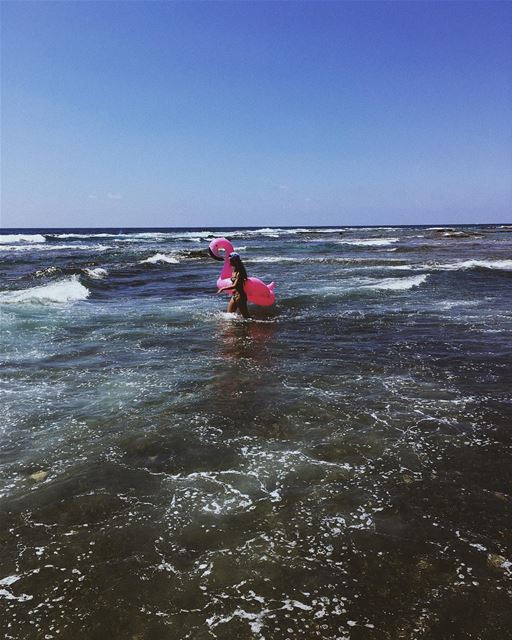 Finding a better spot for my  pink flamingo 🌊🦄 summer  sun  beach ... (Colonel Beer Brewery)