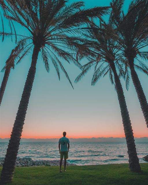 Finding paradise wherever i go 🌴🌅Photo taken with the Canon 7D Mark 2 📷 (Batroûn)