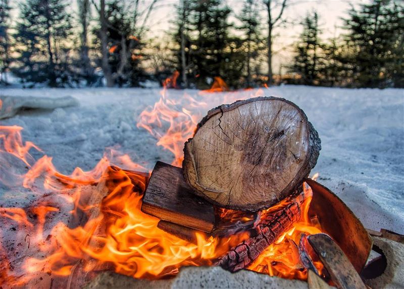 🔥⛺🌲..... fire bonfire campfire forest camp camping snow cold warm... (Bakich)