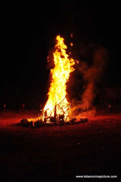 Fire bush - Laqlouq Cedars Army Marathon 2012