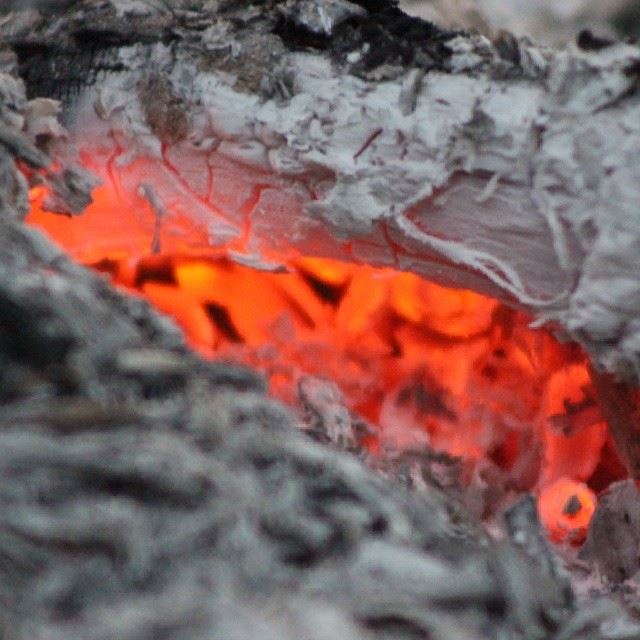  fire  wood  coal  ashes  burning  hot  red  white  gray  closeup  macro ...