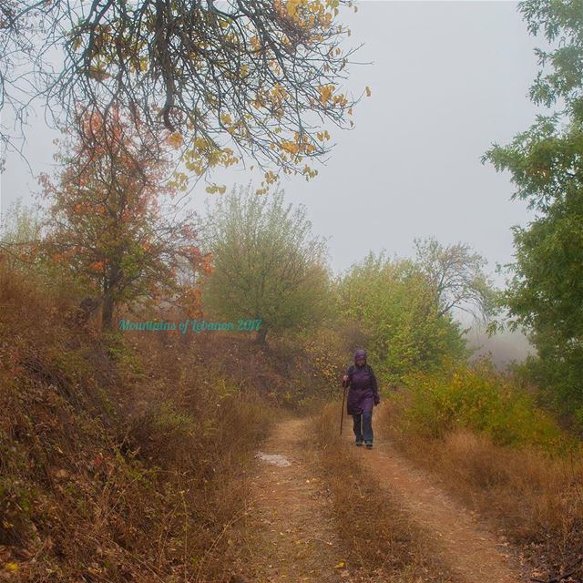 First Hike under the Rain! rain  rainhike  fallrain  fallpath ... (Kfardebian)