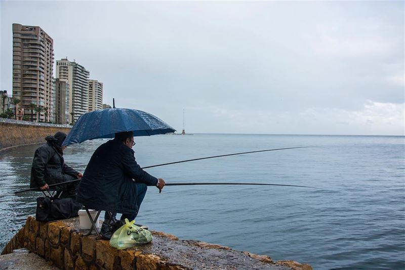 Fish time...a glance on  seaside  beirut  lebanon  instagram ...