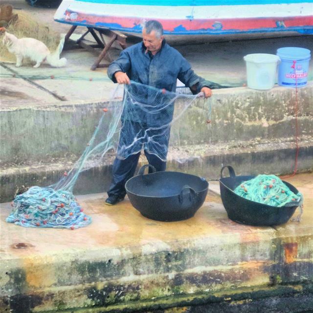 Fisherman collecting the Nets (عين المريسة)
