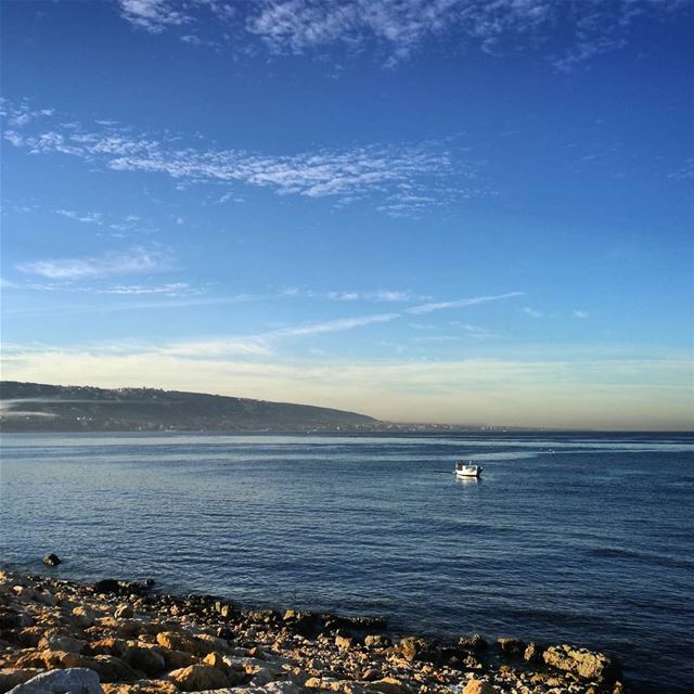 Fishing for color -  ichalhoub in  Tripoli north  Lebanon shooting with a...