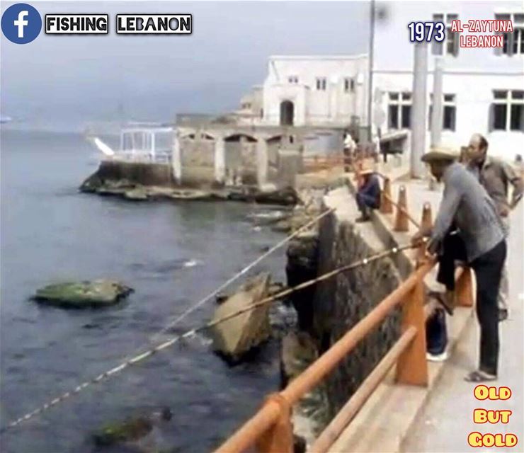 @fishinglebanon - @instagramfishing @jiggingworld @gtbuster @offshorelifest (Beirut, Lebanon)