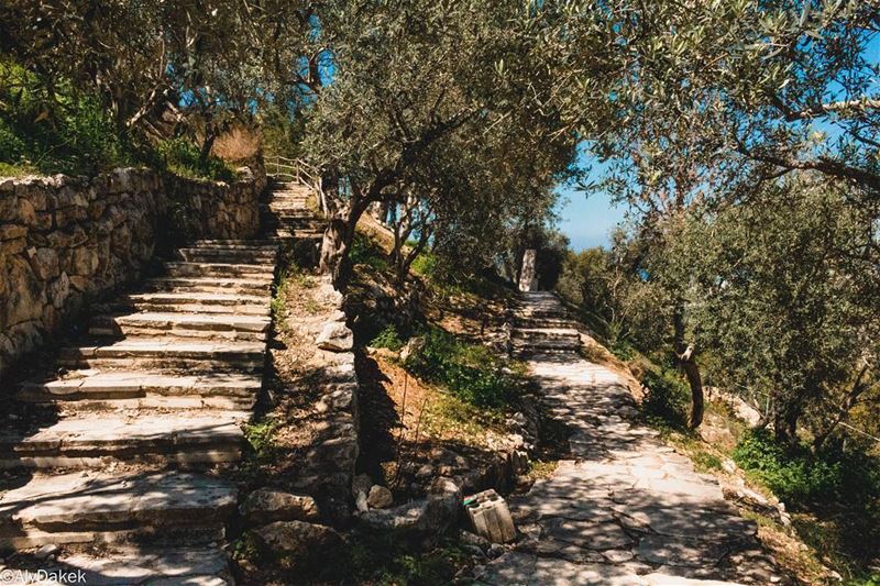 Five Ups of life: Buckle up, Start up, Keep it up, Don’t give up, Cheer... (Maghdoûché, Liban-Sud, Lebanon)