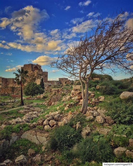 Flares of memories on late summer breeze, floating into the conscious... (Byblos, Lebanon)