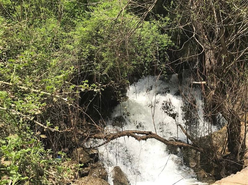 Flow around obstacles just like water flows around rocks.  water  river ... (Ouâdi Qannoûbîne, Liban-Nord, Lebanon)