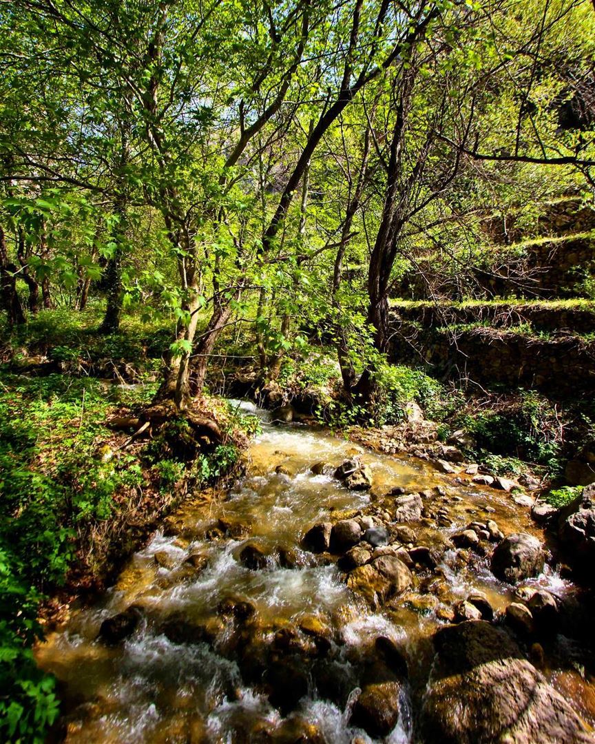Flow like a river 🌍.... lebanon  livelovelebanon  livelovebeirut ... (Bcharreh, Liban-Nord, Lebanon)