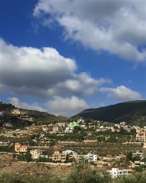 Flow with whatever is happening and let your mind be free. Stay centred by... (`Arab Salim, Al Janub, Lebanon)