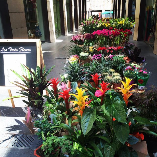  Flower  market at  Beirut  souks  Lebanon joy  colors  summer  happiness...