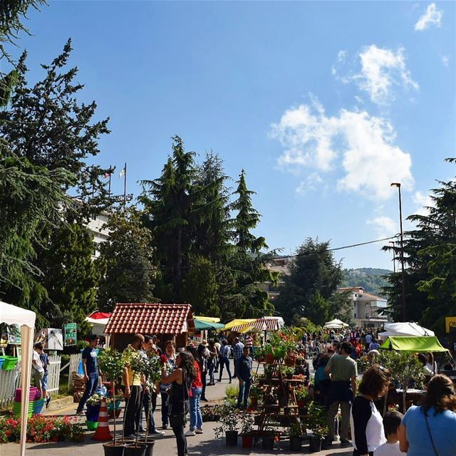  flower  market  bickfaya ... (Bi Bickfaya)