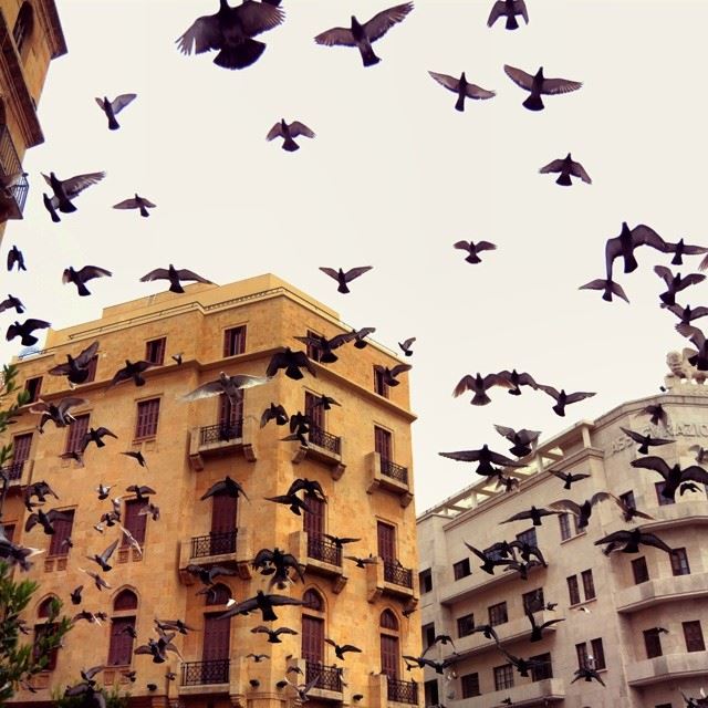 Flying! HDR The Downtown of Beirut Shot taken by me with a Nikon D3200...