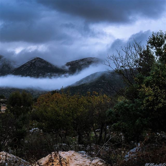 Fog mode ON ! Shot this at 6 am in a freezing weather condition. "Aador"... (Mleeta Tourist Landmark)