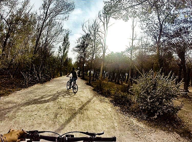 Follow me 🔝🚲  lebanonspotlights lebanoninapicture  livelovetaanayel  ... (Deïr Taanâyel, Béqaa, Lebanon)