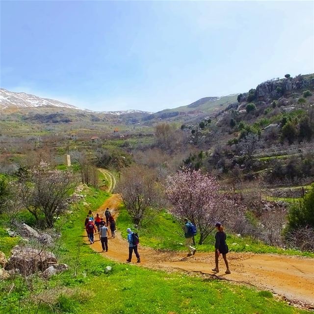 🌲🌲🌲🌲🌲🌲🌲🌲🌲🌲🌲🌲Follow @promaxsports to stay updated .🌲🌲🌲🌲🌲� (Baskinta, Lebanon)