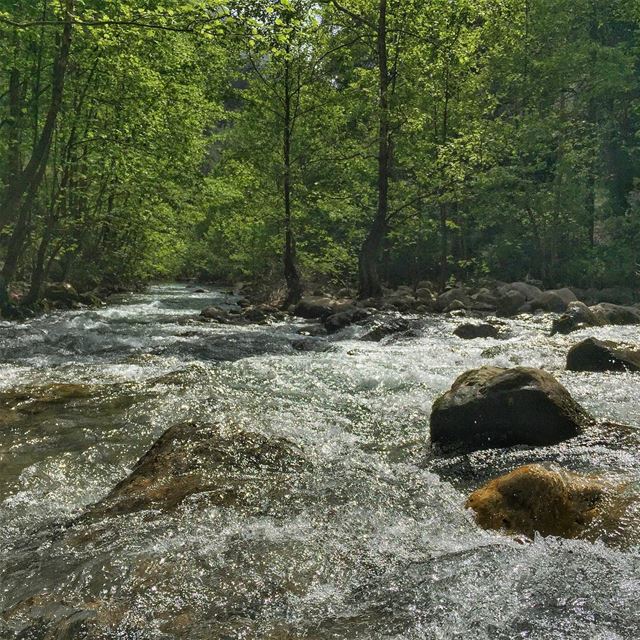 Follow the flow -  LiveLoveLebanon  wearelebanon  lebanonbyalocal ... (Nahr Ibrahim, Mont-Liban, Lebanon)