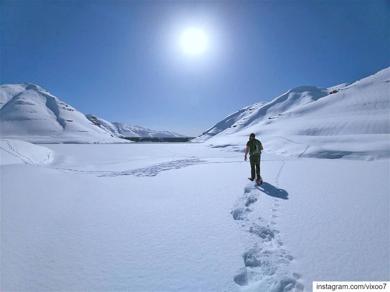 Follow The Sun 🌞... snow  snowday  snowland  livelovelebanon ... (Chabrouh-Faraya)