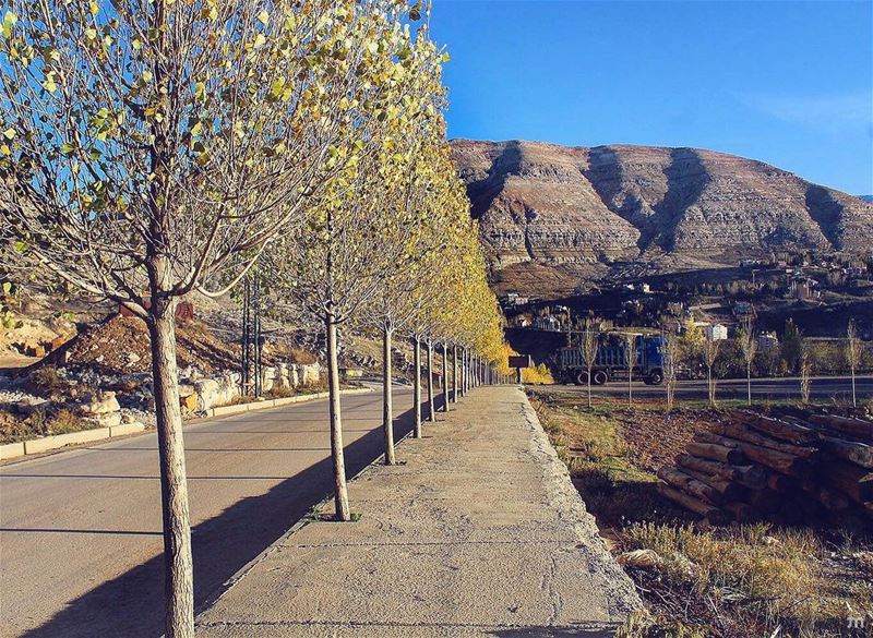 -Follow the yellow trees -... livelovefaraya  view  faraya ... (Faraya, Mont-Liban, Lebanon)