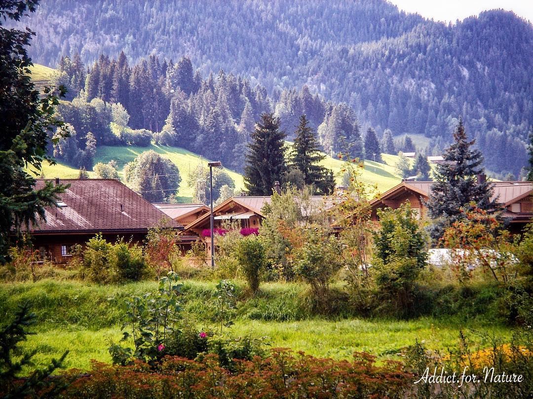 Follow your bliss and the universe will open doors where there were only... (Gstaad)