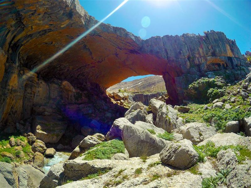 Follow your heart for an adventure.  bridge  nature  river  hiking ...