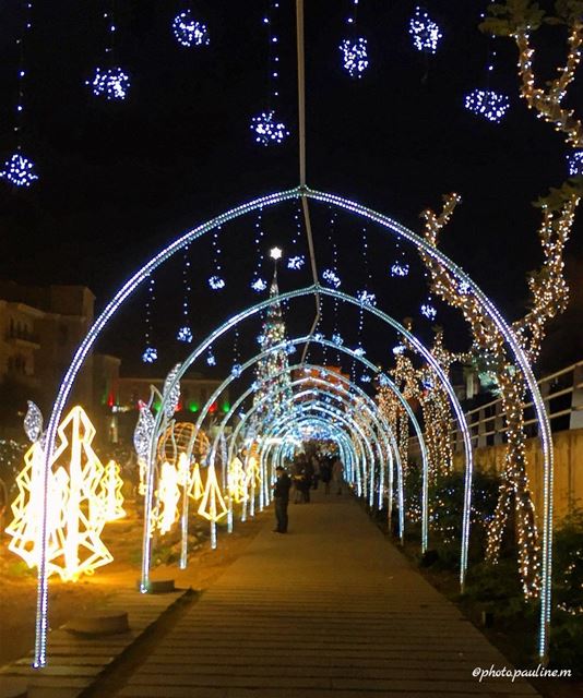 ✨🎄 followforfollow  follow  like  like4like  photography  photooftheday ... (Jbeil-Byblos)