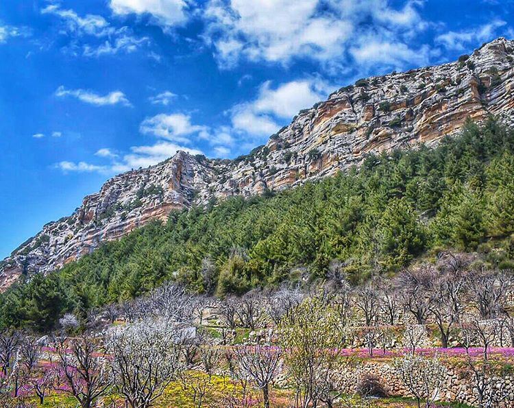 For happiness one needs security, but joy can spring like a flower even... (Ehden, Lebanon)